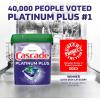 imageCascade Platinum Dishwasher Pods ActionPacs Dishwasher Detergent with Dishwasher Cleaner Action Lemon Platinum Plus 70 Count62 Count Pack of 1