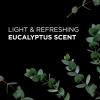 image9 Elements Dishwashing Liquid Dish Soap Eucalyptus Scent Cleaner 16 oz Bottles Pack of 348 Fl Oz Pack of 1
